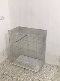 قفص حديد • جبير • الجريخي