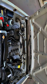 نيسان • أربيل