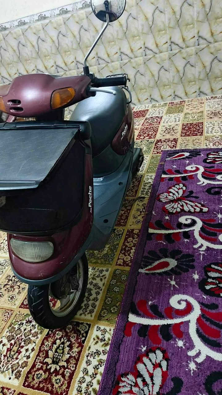 دراجه منغولي للبيع المكان كربلاء المقدسة
الاستفسار ‏‪***********‬‏

