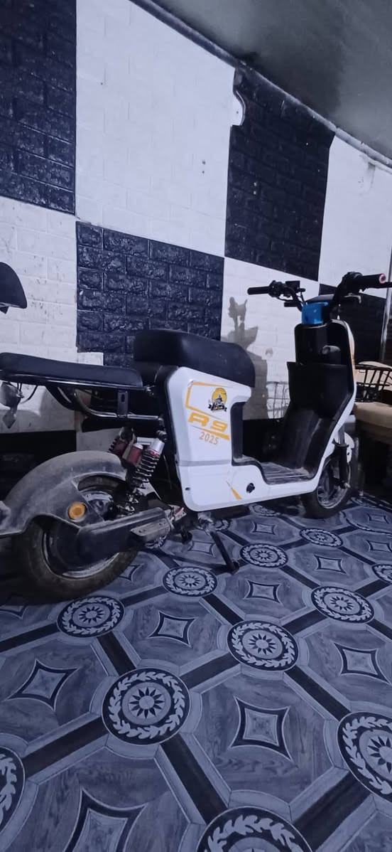 للبيع دراجه كهربائيه نظيفه عطله بطاريه رايدته ٢٥٠وبيه مجال


**إذا كنت صاحب هذا الإعلان وتريد حذفه لأي سبب، رجاءا أرسل رسالة إلى الدعم الفني**