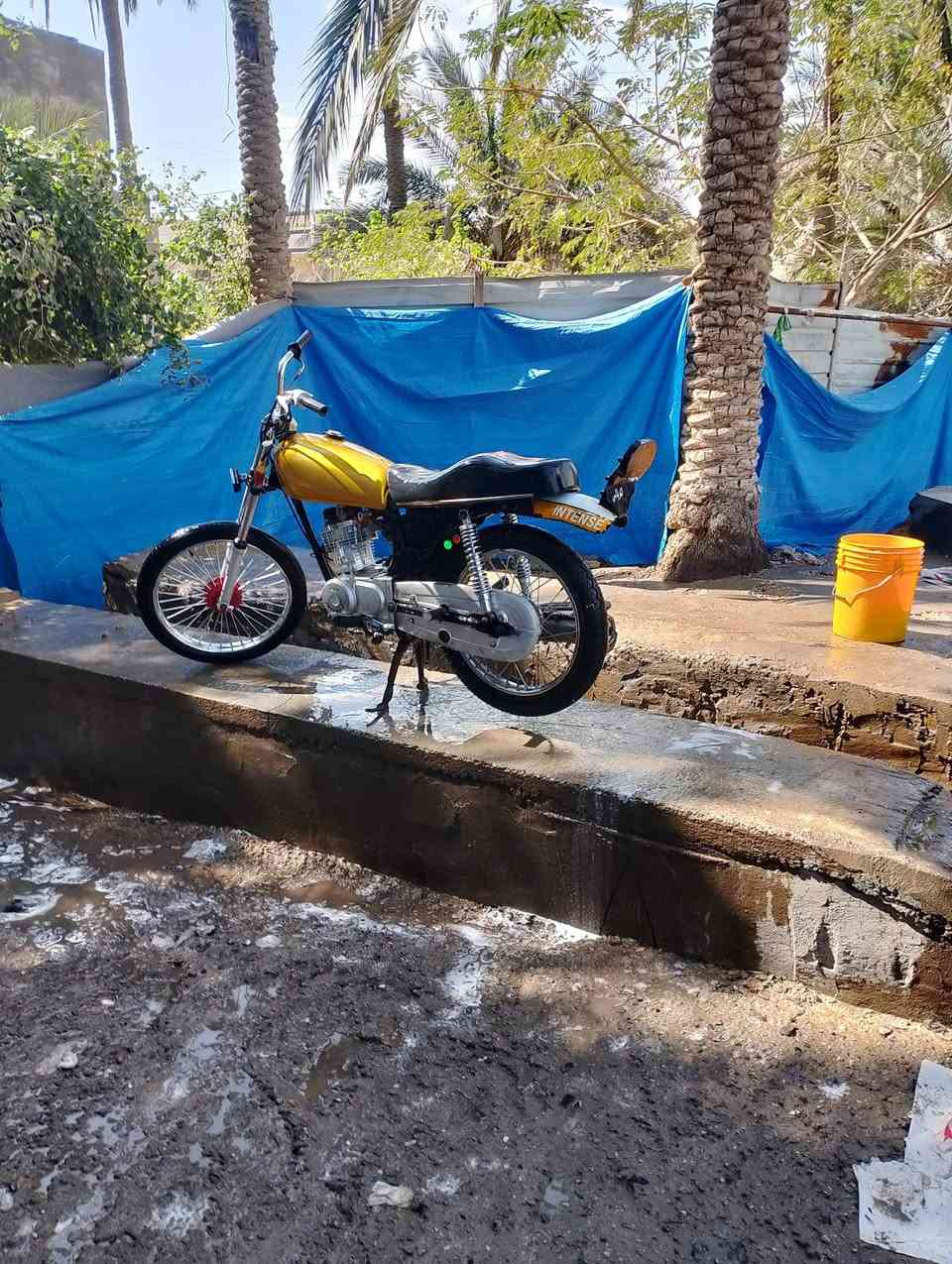 من رخصت صاحب لكروب هل محروسه انتنس24 كلك محرك مبدل بيه بس كوين رايده ب400 هل صور بدون فلاتر مو شراي لاتعبني فدوه لوجهك متواجد عل فيس وليريد يتصل عل رقم***********
