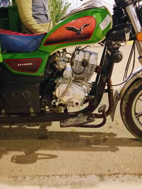 ستوتة • مرقمة • كفالة