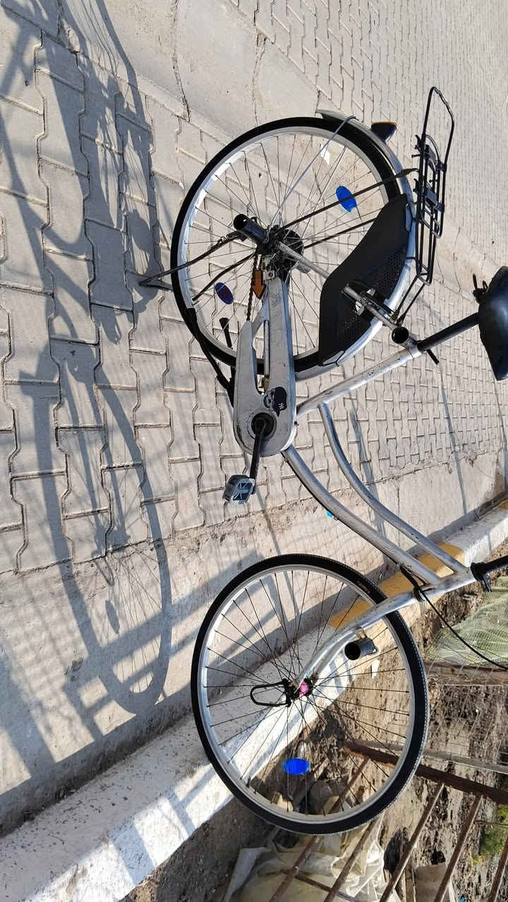 السلام عليكم شلونكم بايسكل حجم 26 بايسكل كامل السعر خاص


**إذا كنت صاحب هذا الإعلان وتريد حذفه لأي سبب، رجاءا أرسل رسالة إلى الدعم الفني**