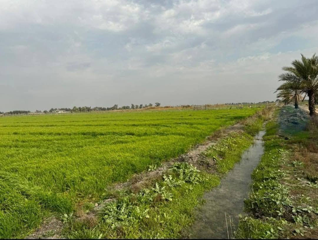 4 دوانم ملك صرف سند مستقل للبيع
وسعر الدونم الواحد 20 مليون جاهزات
فرصه ذهبيه 4 دوانم مستقلات وملك صرف
جاهزات من ماء وكهرباء وسكن يمهن ويبعدن
عن المستوصف والشاليهات 8 دقايق مرتبات
العنوان تاجي سبع البور بمنطقة الشيخ عامر 
يبعدن عن السوك 10 دقايق جاهزات وكاملات
بصف التبليط صايرات موقعهن كلش مرتب
ويباعن حسب الطلب فتح بيان ثاني يوم بأسم
المشتري للاستفسار واتساب ***********
