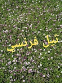 ثيل طبيعي طبيعي واصل جميع المحافظات للحجز والستفسار 07711788143