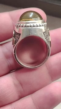 كهرب كولومبي 3D • نملة محنطة • نادر