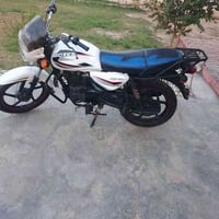 بوكسر هندي • موديل 2021 • أوراق أصولية