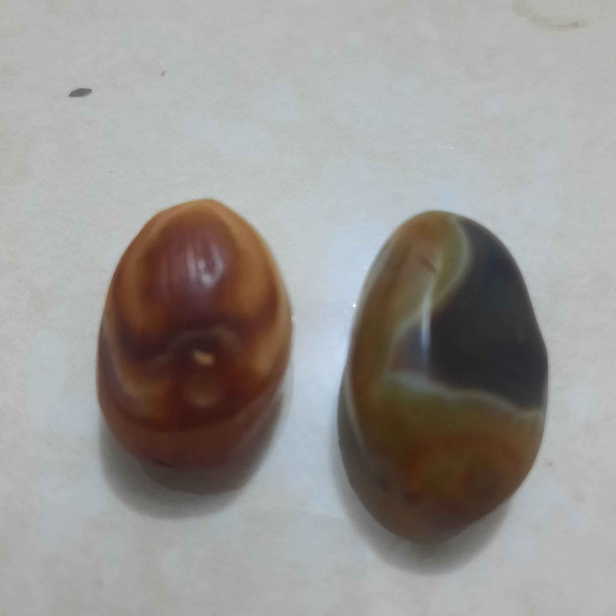 داوودي للبيع قيم واخذ
العنوان بغداد


**إذا كنت صاحب هذا الإعلان وتريد حذفه لأي سبب، رجاءا أرسل رسالة إلى الدعم الفني**