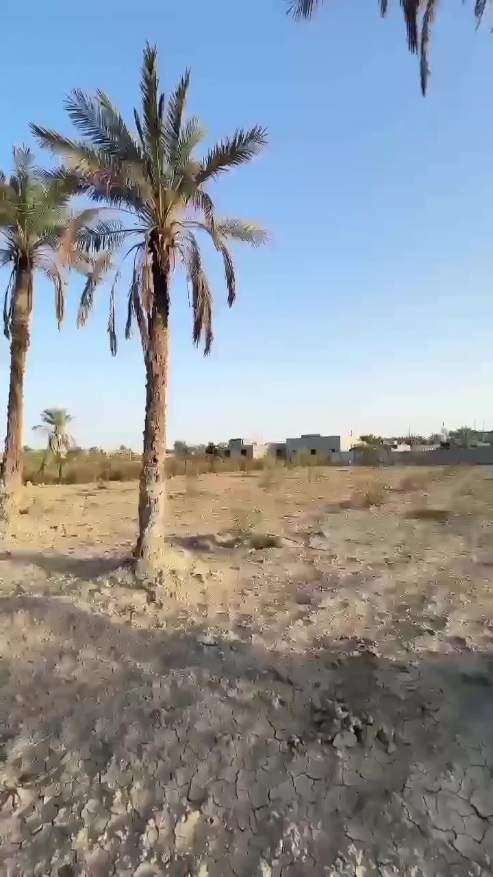 السلام عليكم من رخصة الادمن قطعه أرض للبيع والتفاصيل داخل الفيديو الاتصال على الرقم ***********
