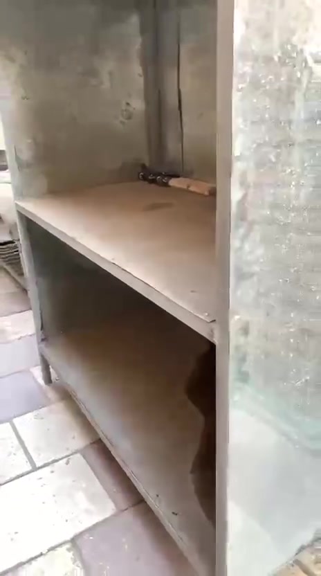 جنبر مال جاي للبيع مناسب ***********
