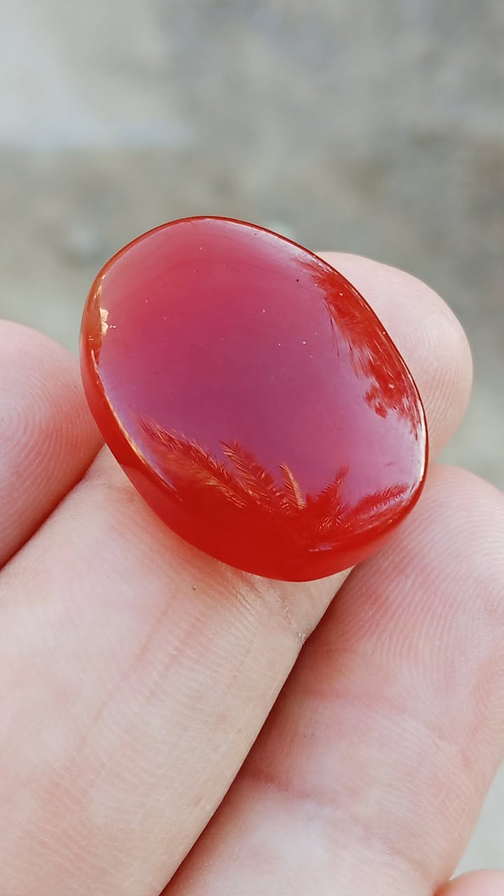 نوادر اليماني الانسي المشمشي الجذري الغير مجمر فقط جرخ وتلميع امانه وذمه وليسه مال السواق التواصل خاص


**إذا كنت صاحب هذا الإعلان وتريد حذفه لأي سبب، رجاءا أرسل رسالة إلى الدعم الفني**