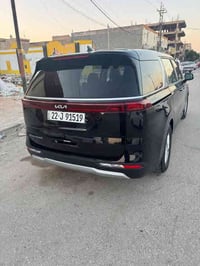 كرنفال • ٢٠٢٢ • حادث صبغ