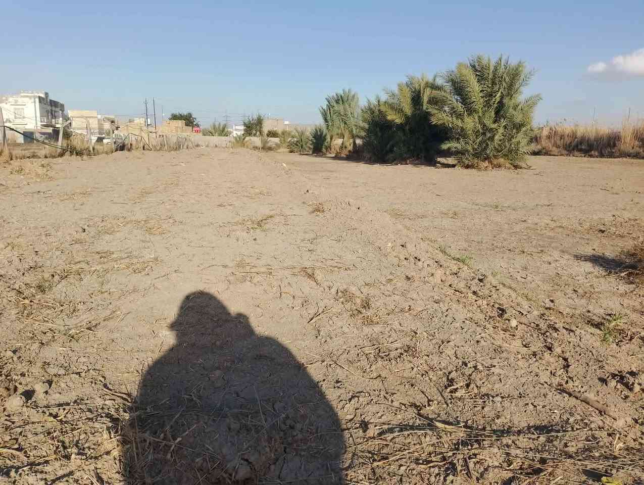 عرصات زراعي خلف حي الجامعه زراعي يم البو صالح ***********
