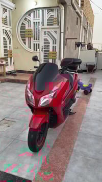 فورزا • أوراق كاملة • ذي قار الشطره