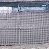 أقفاص سمك • النعيمية