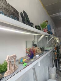 سيد صادق • رفان • ٦م١٠سم