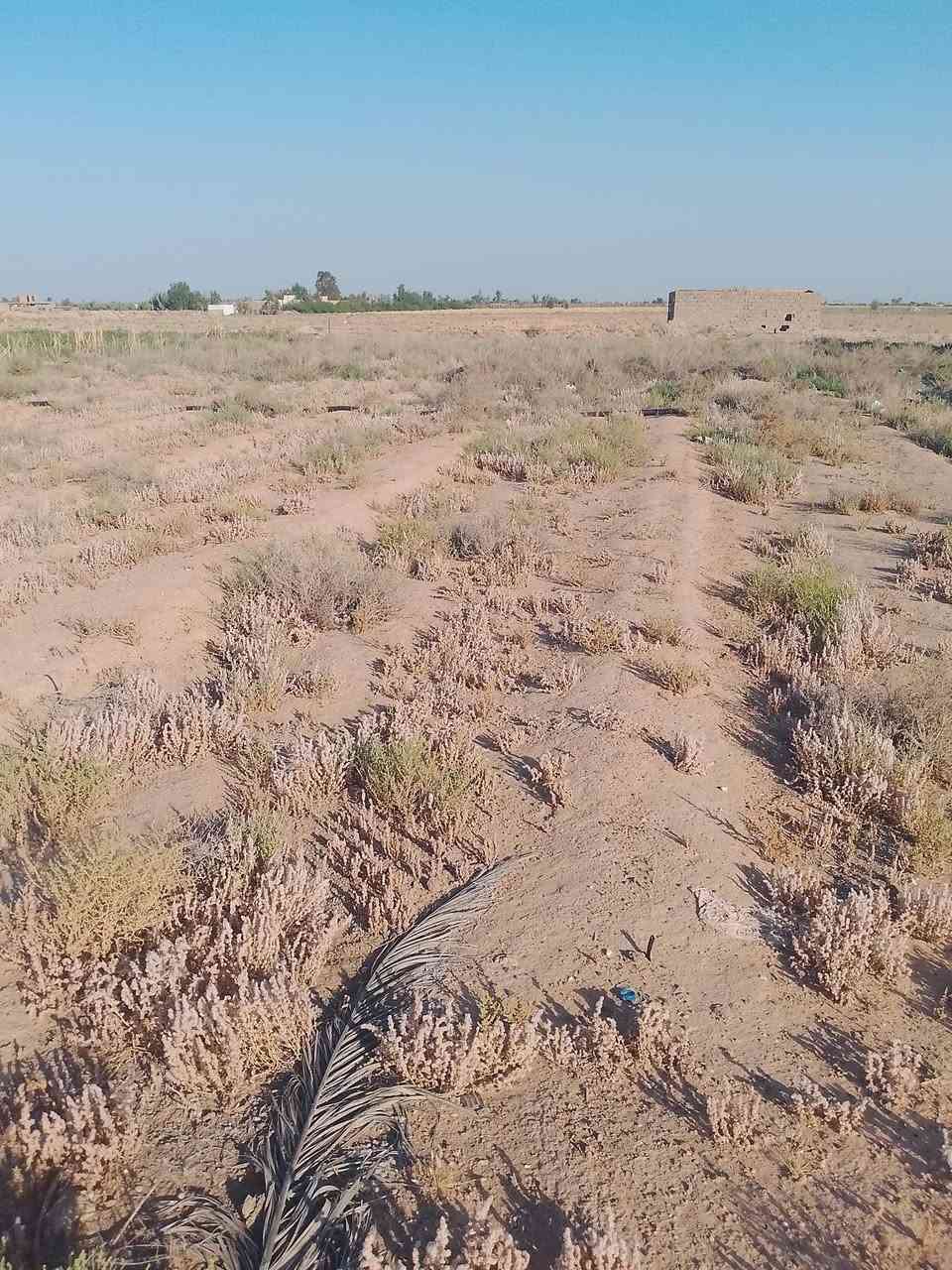 قطعه زراعي للبيع طريق كربلاء نجف عمود 736خلفي حسينيات المساحه 345 بسعر مناسب شراي إتصال على الرقم ***********
