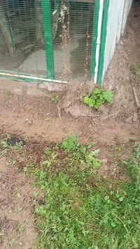 محميه حديد داخل خشب السعر 350بيه مجال عنواني تقاطع الخنساء الرقم077276...