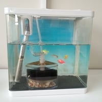 حوض سمج • قابل تفاوض