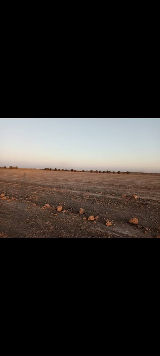ارظ زراعيه للايجار ماء متوفر 120دونم المكان كربلاء الكرطه الاستفسار ***********
