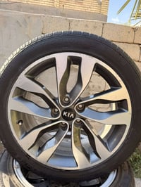 تخم ويل ١٨ • كوريات اصل • تاير ٢٠٢٥