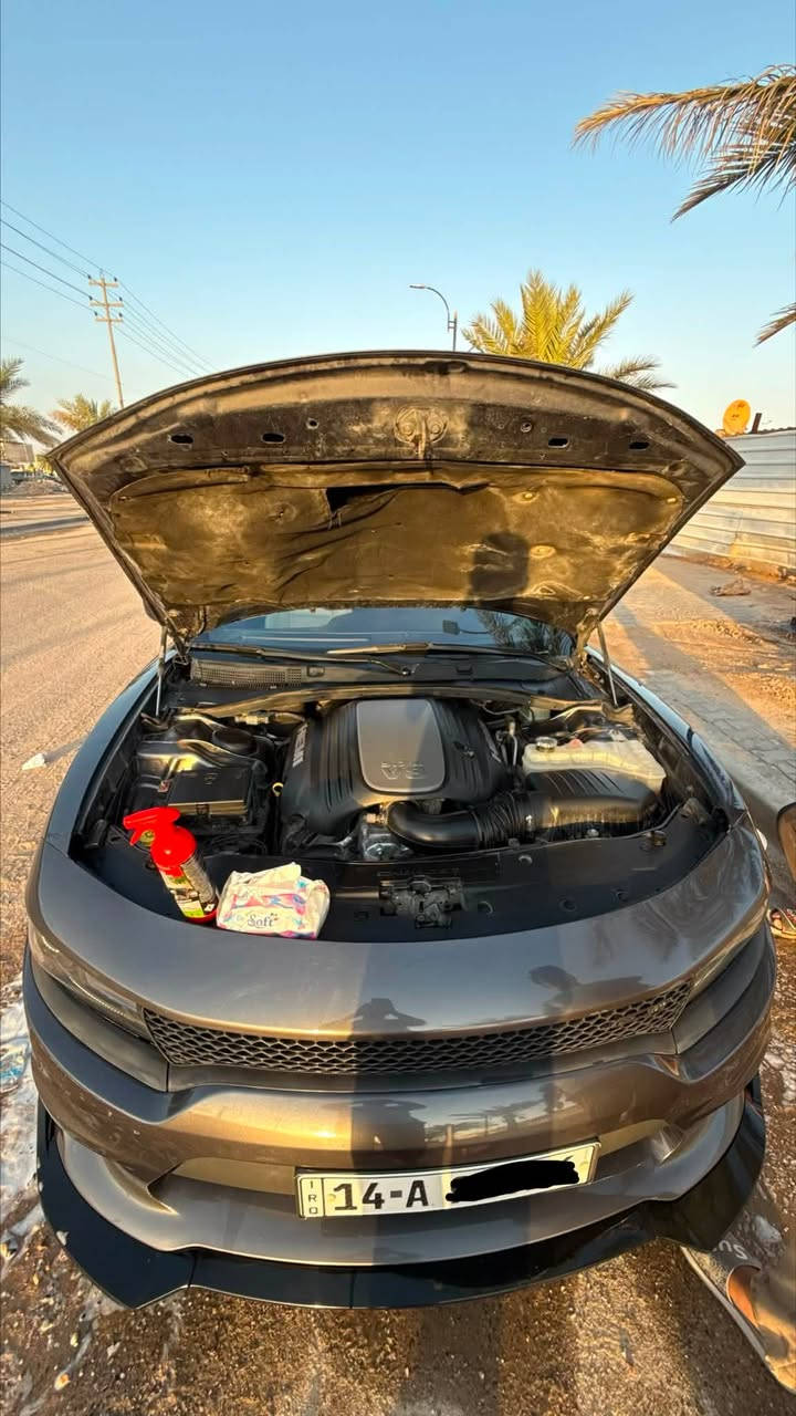 جارجر RT 5700 / السعر 179 ورقه وبيها مجال
وارد امريكي / ***********

حادثها جاملغ امامي وبيها مكانات PDR بالجاملغ الخلي والباب الامامي اثر رصعات بدون قطرة صبغ  محدثة بالكامل SRT 
1- الممشى 192 كيلو قابل للزيادة
2- الاضافات ويل 20 SRT 
3- لايت متغير مع لد 
4- دبات HT مع حلوك بورلة عليها برجمة سيفتي 
5- ادامة كاملة بلكات ريسنك نوزلات جدد فيت بم الخ
6- منطومة ماي جديدة كاملة من دبة الى واتر بم كله اصلي
7- دواخل كاربون 
السيارة ما نقصها اي شي ربع ما تصرف عليها 
مكان السيارة البصرة- سفوان 
السعر 179 قابل للتفاوض
*********** عباس
