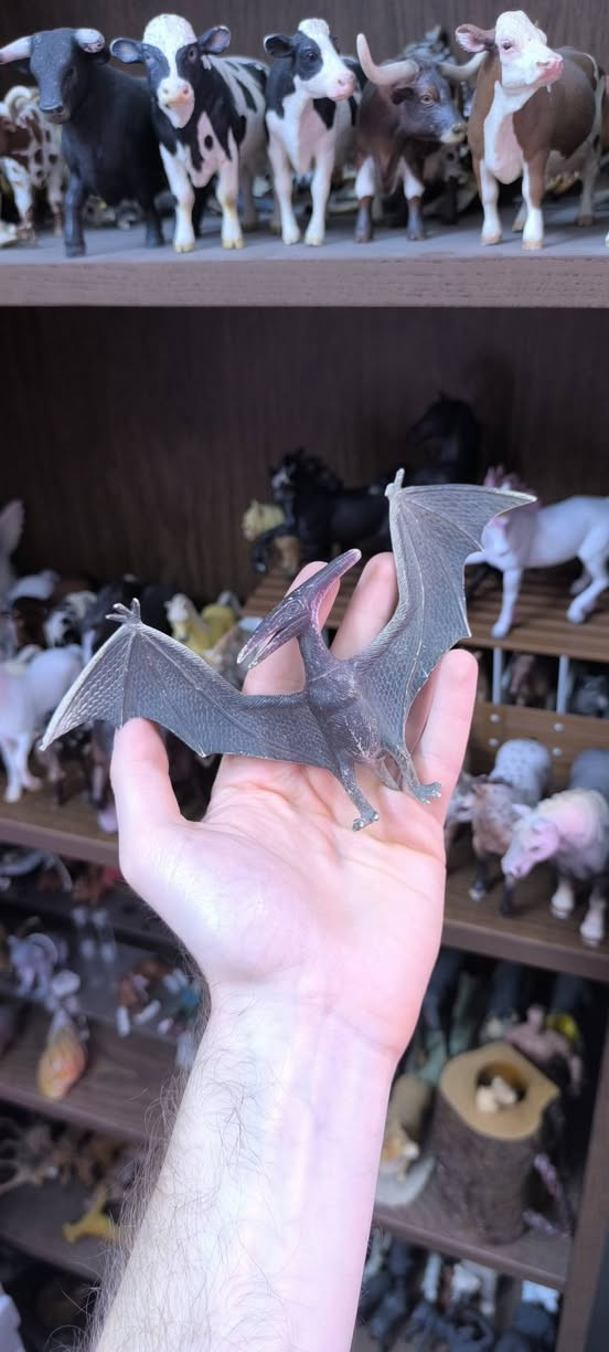 متوفر للبيع


**إذا كنت صاحب هذا الإعلان وتريد حذفه لأي سبب، رجاءا أرسل رسالة إلى الدعم الفني**