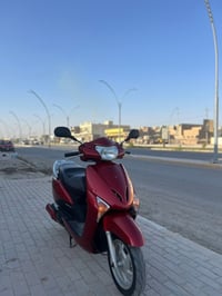 ليدي • نضيف • فول