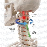 علاج الصداع المزمن • علاج الم الرقبة • علاج الم الكتفين • علاج تنميل ا...