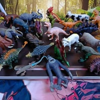 حيوانات • شلايش • ثكال ومختومه