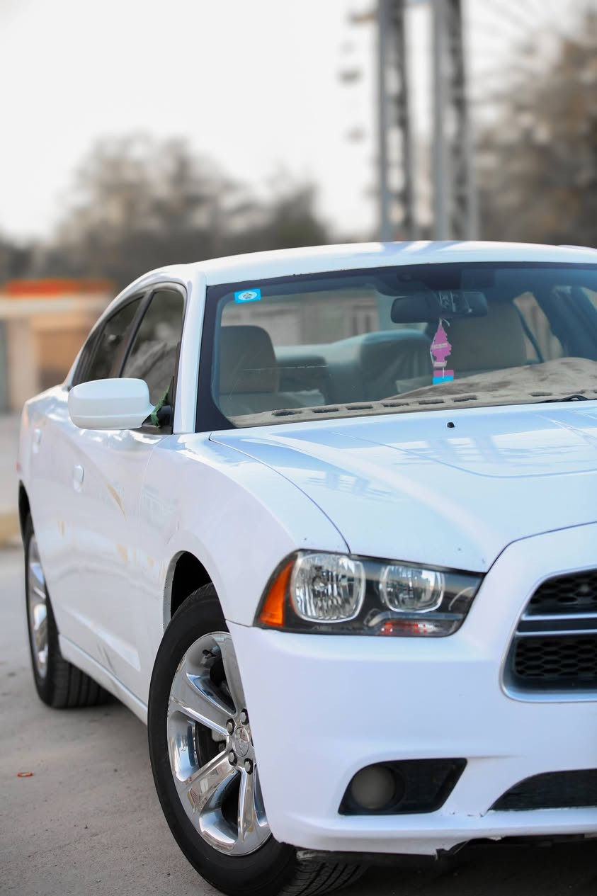 سلام عليكم جارجر 2012
رقم بغداد مميز وارد كندي حداديه جاهزه تخم تاير مكينه لا تنقيص ولا تبخير بيها قطعتين فقط السياره جديده كلش كهربائيات شغاله لايت زينون الف دينار ما اذب عليها ترايك ل أربيل السعر 145وبيها مجال بسيط للأستفسار ***********
