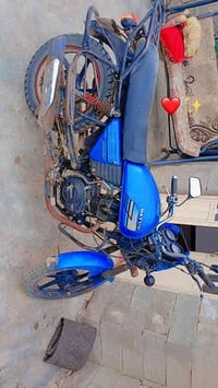 دايون 2019 • أوراق أصلية • رفاعي