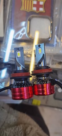 زنون امازون • ابو مروحة • ضوء ثلجي