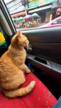 فساتين طويلة • فساتين سهرة • توصيل بسمايه