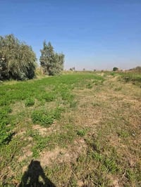 ارض زراعية • ٣ونص دونم • طريق الموفقيه