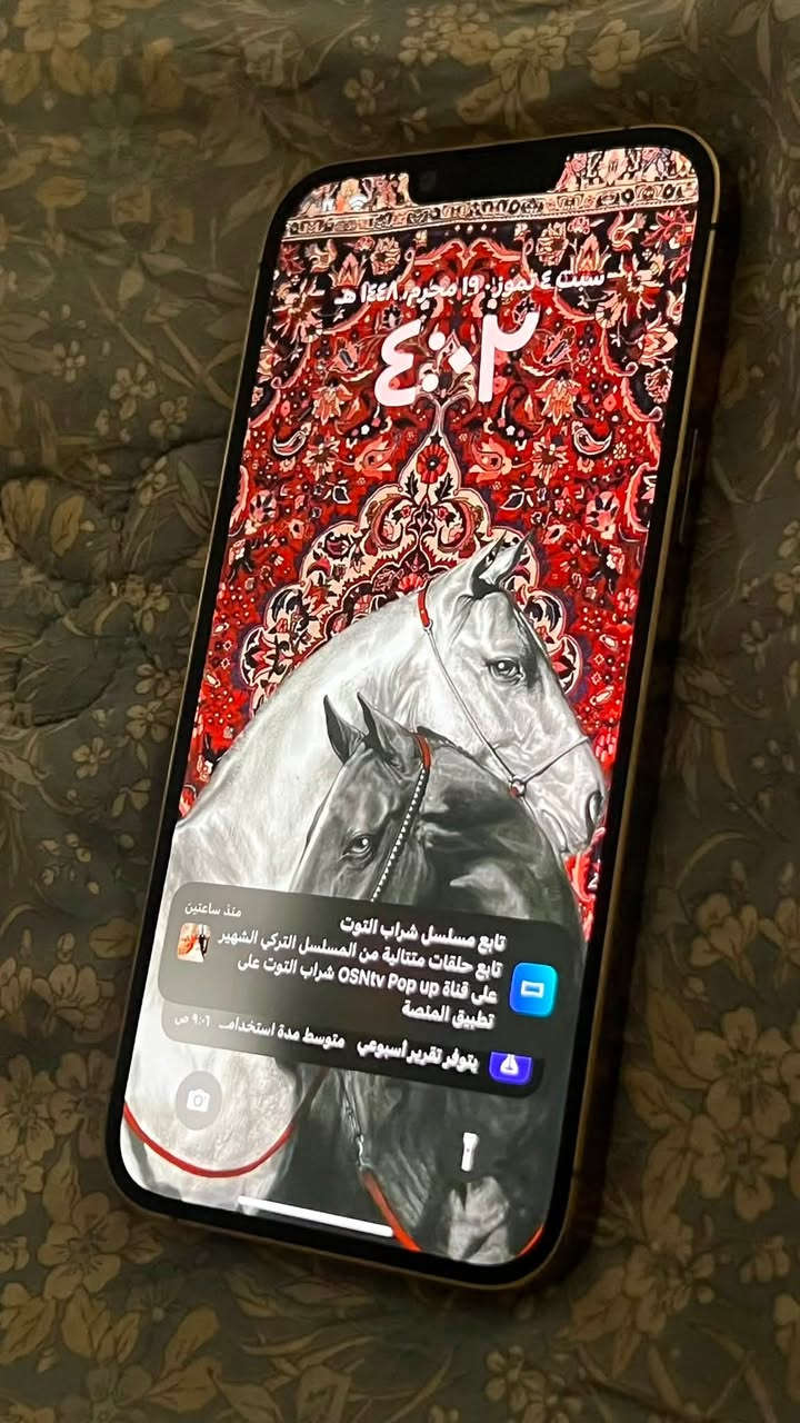 للبيع ايفونات اثنين 13 برو ماكس
ذاكرة 256 و واحد ذاكرة 128 

اثنينهم مبدليلهم ظهر و شاشة 

مكاني بغداد الدورة ***********
