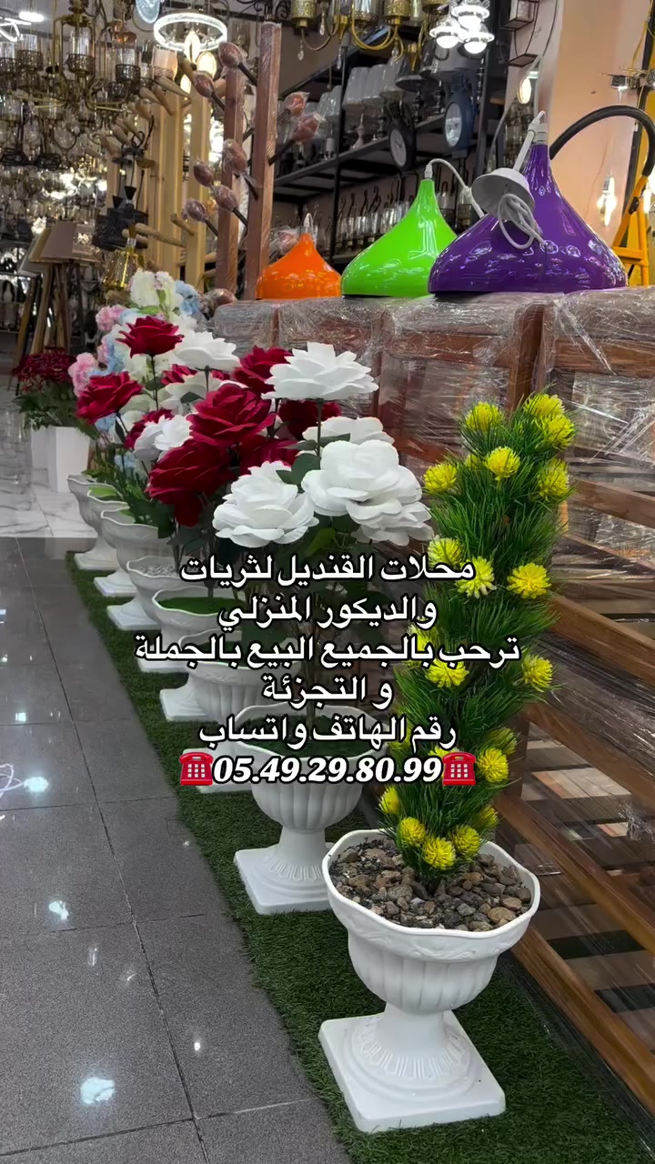 ⛔محلات القنديل للثريات و الديكور المنزلي ترحب  بكم:  🌎 محل متواجد جبلي أحمد ( كانطولي) قسنطينةرابط موقع محل أول   🌎   : https://maps.app.goo.gl/9JQi2KAQLX3AiFsx5🌎 محل متواجد في واد زياد  ( خامسة)  قسنطينة : رابط موقع المحل الثاني  🌎  : https://maps.app.goo.gl/ZvModRNokLgJWiRE9?g_st=acرابط صفحة تيك توك: http://www.tiktok.com/@beguirat__oussamaرابط صفحة إنستجرام: instagram://user/?username=beguirat.oussama&igsh=MXFzN29iaDd0Zm1sOQ%3D%3D&utm_source=qrمعلومات إتصل.    : رقم الهاتف.     : ☎️05.49.29.80.99☎️واتساب      : ☎️05.49.29.80.99☎️


**إذا كنت صاحب هذا الإعلان وتريد حذفه لأي سبب، رجاءا أرسل رسالة إلى الدعم الفني**