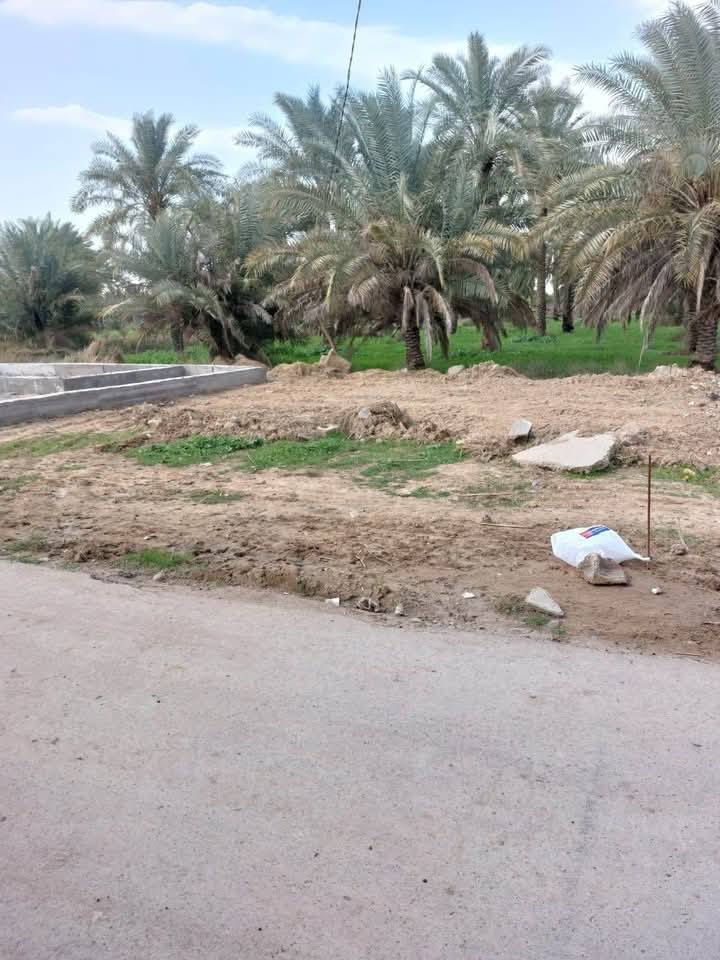 السلام عليكم
قطعة أرض سكنية من ضمن بستان ملك صرف عنوانها بغداد المدائن منطقة  شيخ علي بيها إقرار مستعجل مساحتها 125 متر الواجهه 10 متر ونزالها 12.5 متر تبعد عن الشارع العام 500 متر تقريبا.... السعر  21 مليون للاستفسار الاتصال على الرقم ***********  
*********** بي واتساب.
