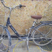 دراجة • بلديات • كمية