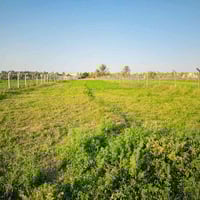 أرض زراعية • ٢ دونم و٣٠٠م • الكفل أم نعجة عمود 256