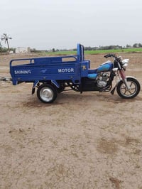 ستوته • موديل ٢٣ • مكفوله