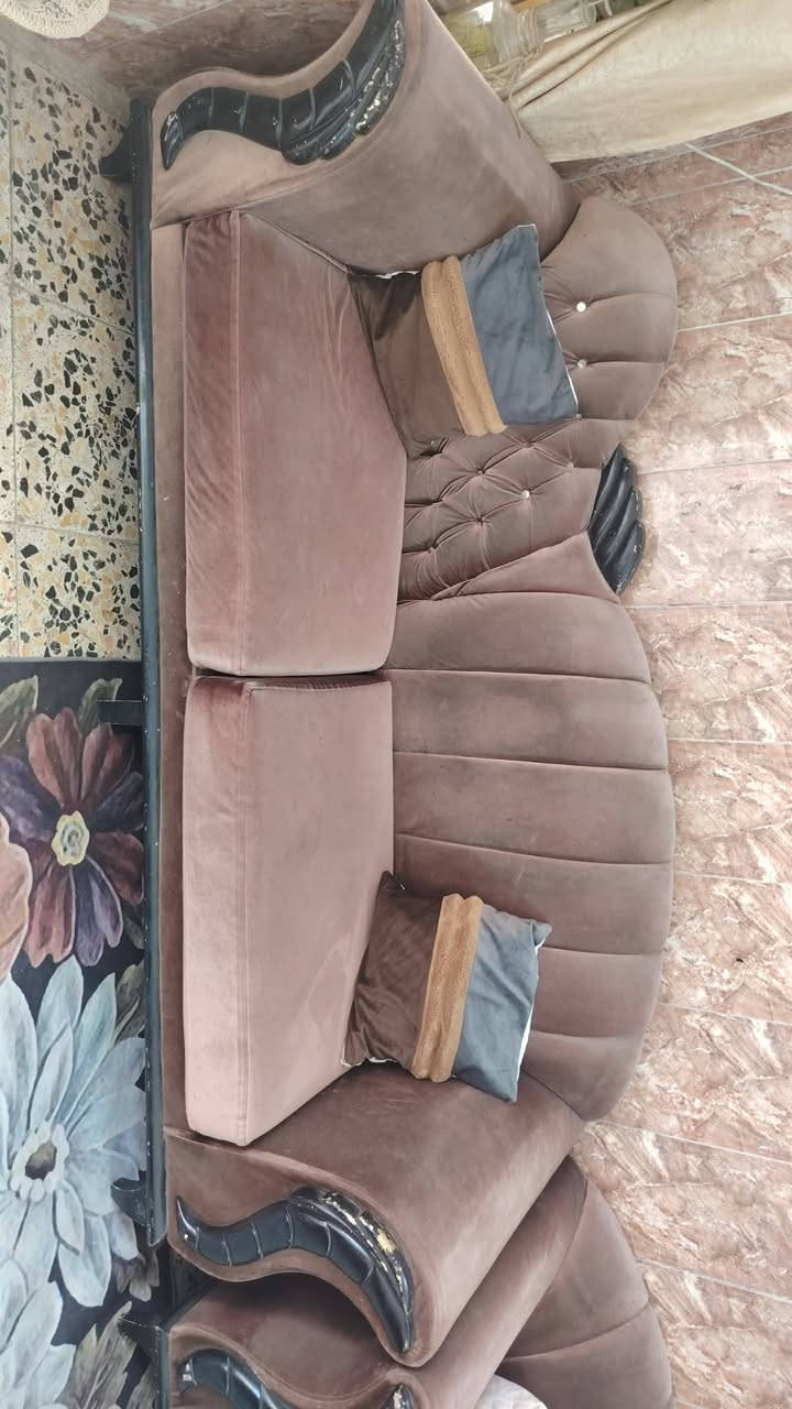 تخم قنفات 
سعره 225 وبي مجال 

***********
