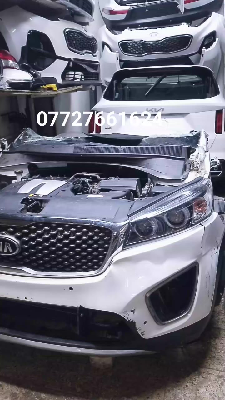 السلام عليكم يتوفر أدوات سورنتو
سوق بغداد القصر الابيض محل علي الاستفسار اتصال او واتساب ***********
