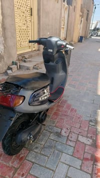 منغولي • نضيف • كربلاء