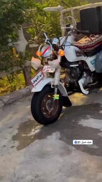 موديل ٢١ • سماوه قضاء الخضر • وراق صولي