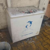 ٢ عارضات ايگور • مجمدة صغيرة • كربلاء