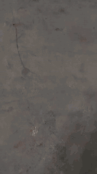 للبيع تواصل ***********
