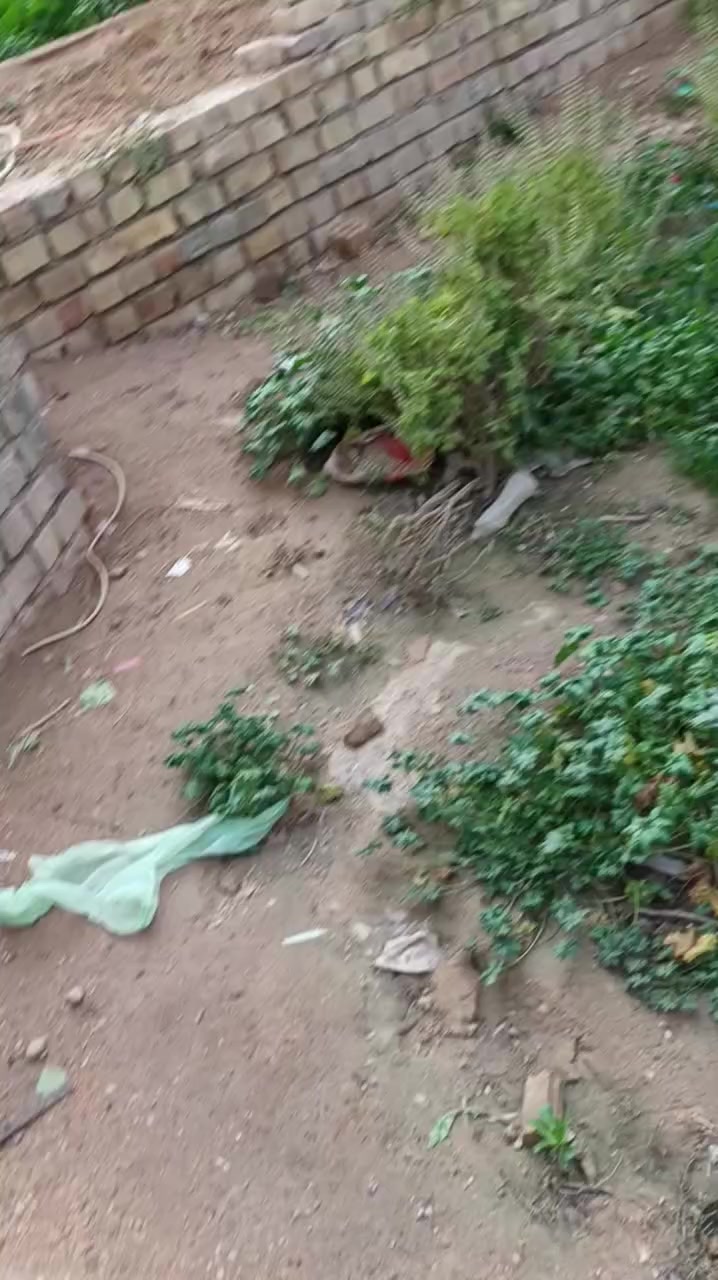 بتلو مساحته 250 بحي البتول الزراعي شارع ابو الثلاجات اتصل ***********
