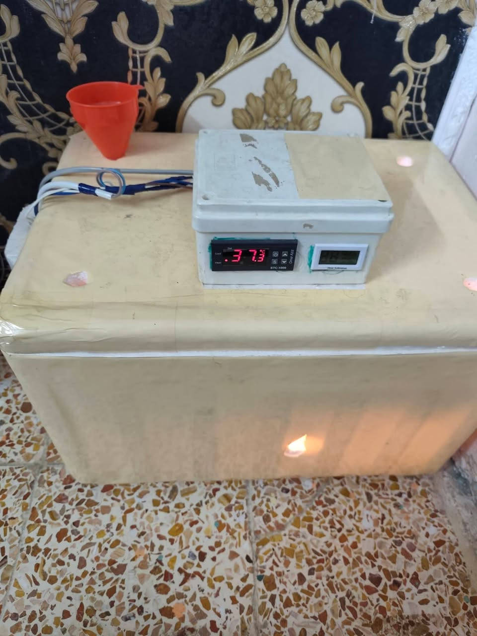 فقاسه فلين حراره ورطوبه اتمتيك تقليب يدوي مرتين بل يوم فقاسه مستخدمه اكثر من وجبه


**إذا كنت صاحب هذا الإعلان وتريد حذفه لأي سبب، رجاءا أرسل رسالة إلى الدعم الفني**