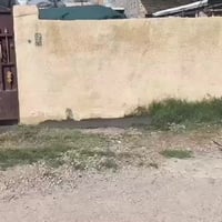 دار مساحه 150 متر مكان مميز جدا نزله جامع عبد الكريم ابو غازي سند 25 و...